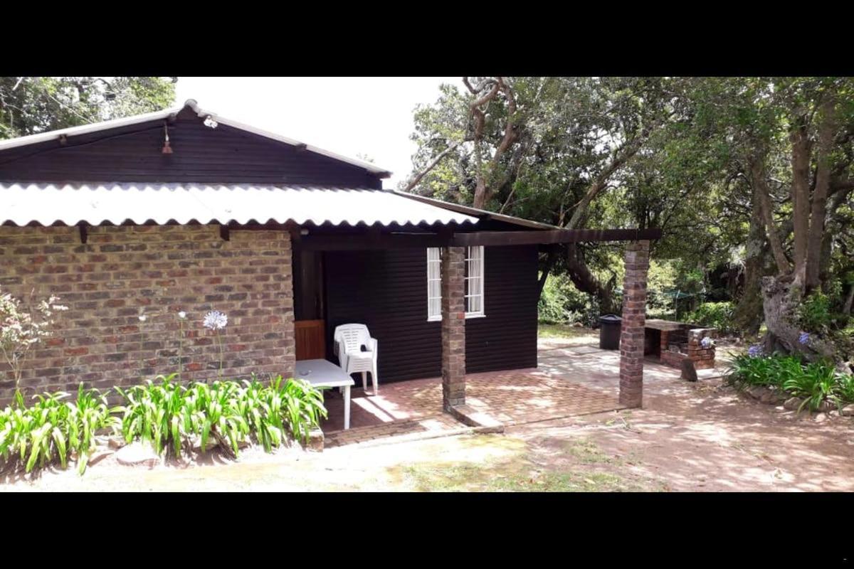Woodbourne Resort Knysna Exterior photo